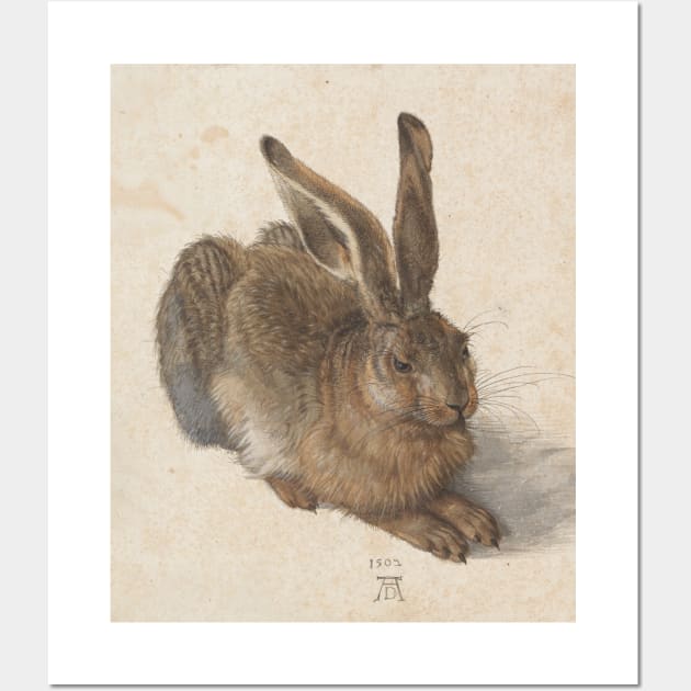 Young Hare  by Albrecht Dürer Wall Art by Amanda1775